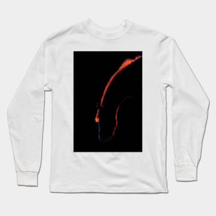 Sunset Horse Long Sleeve T-Shirt